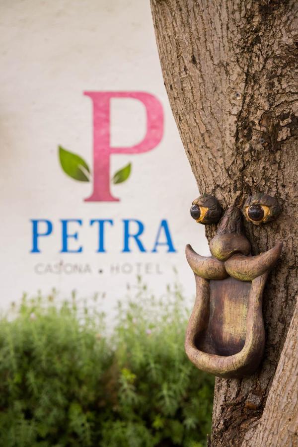 Hotel Petra サン・ミゲル・デ・アジェンデ エクステリア 写真